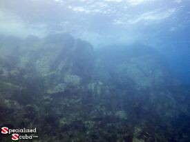 Rock face at Cow\'s Mouth dive site