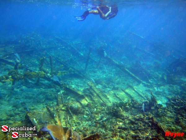 Belize, Snorkeling, Snorkel the Wreck