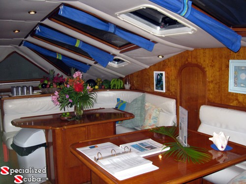 Salon of Privilege Catamaran