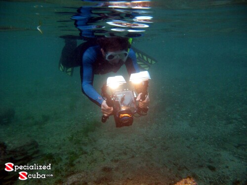 Snorkel video at dusk