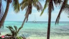 Belize, Yacht in Water, Palm Trees, Tiny Cay