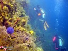 Belize, reef wall, SCUBA Diver