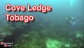 SCUBA Diving Cove Ledge - Tobago
