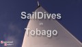 Sail and Dive in Tobago Part 1/7