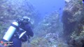 Sail and Dive in Tobago Part 5/7