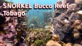 SNORKEL Bucco Reef - Tobago