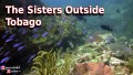 The Sisters Outside - Tobago