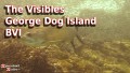 The Visibles - George Dog Island - BVI